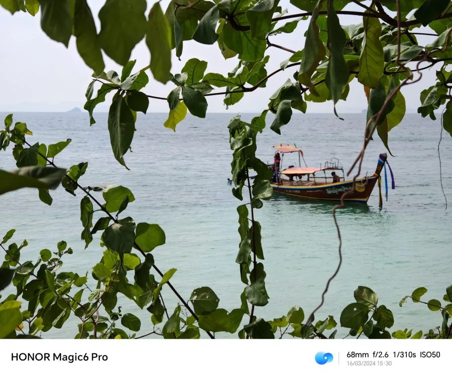 HONOR Magic 6 Pro Kameratest (3)