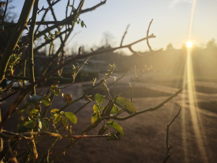 Xiaomi 15 Kamera Testaufnahme Bokeh bei Sonnenuntergang