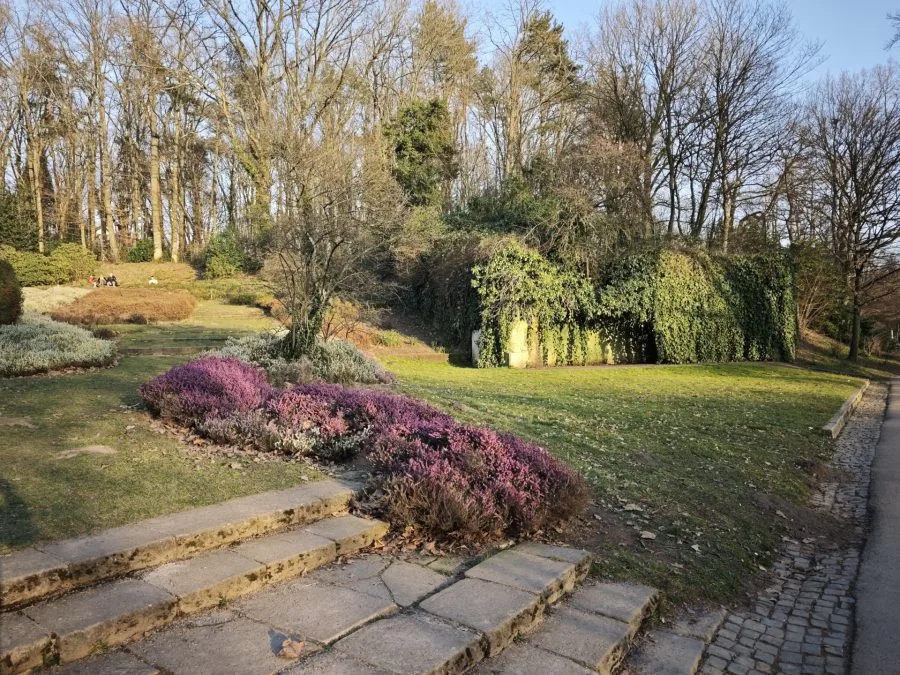 اختبار Xiaomi 15 لقطة Leica أصلية