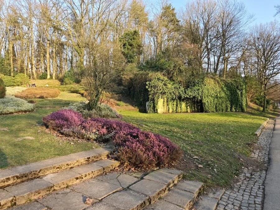 لقطة اختبار Xiaomi 15 Leica Vibrant