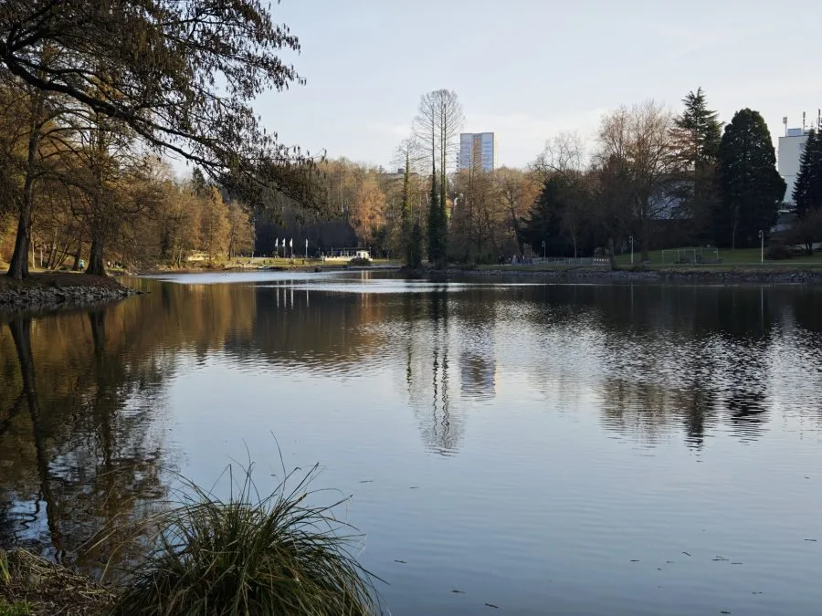 اختبار تقريب الكاميرا الرئيسية لهاتف Xiaomi 15 بواقع 2x