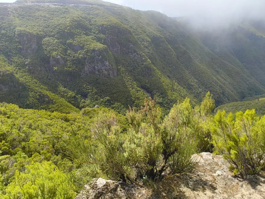 Snímek krajiny s HONOR Magic V3