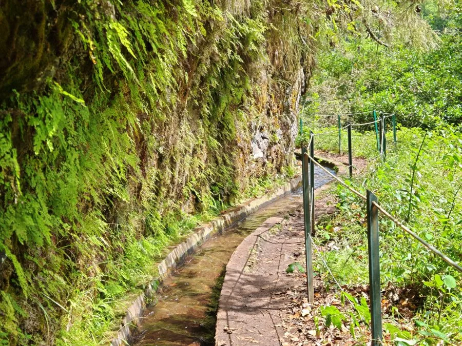 HONOR Magic V3 Naučná stezka