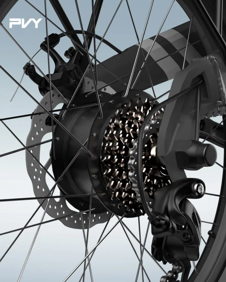 PVY Z20 Pro EVO E-Bike Grau (2)