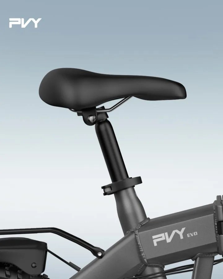 PVY Z20 Pro EVO E-Bike Grau (1)