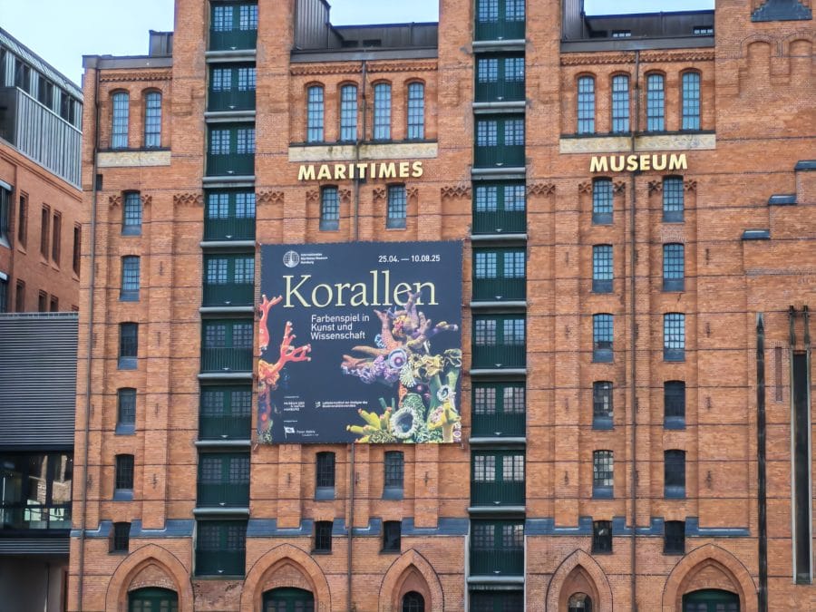 Testaufnahme Kamera 4-fach Zoom