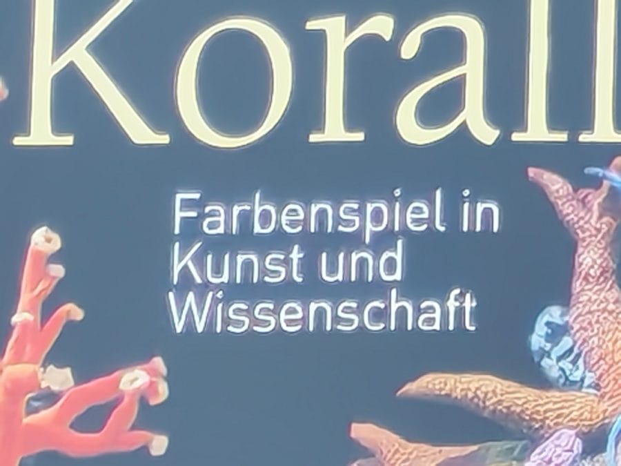 Testaufnahme Kamera 30-fach