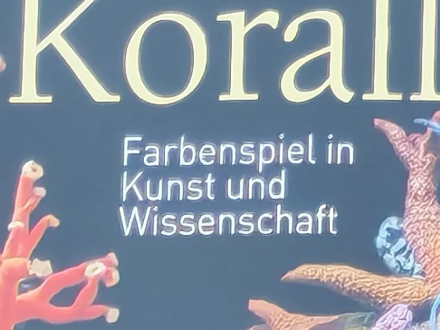 Testaufnahme Kamera 30-fach