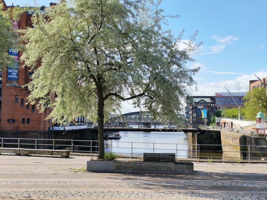 Testaufnahme mit Baum und Fluss