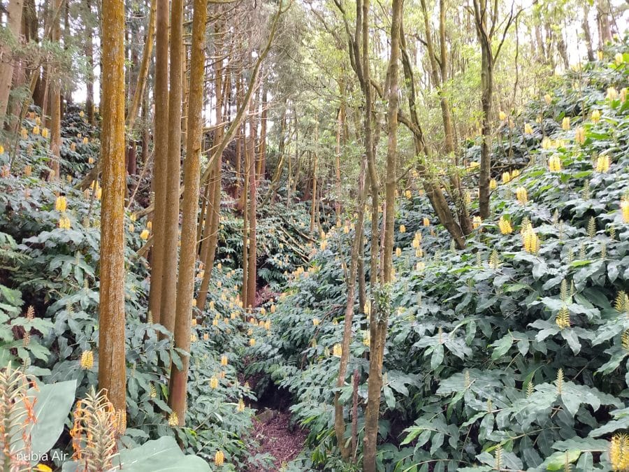 nubia Air Testaufnahme (4)