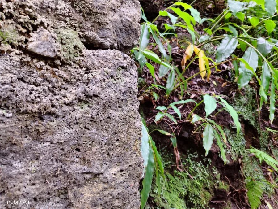 Запись теста Nubia Air (5)