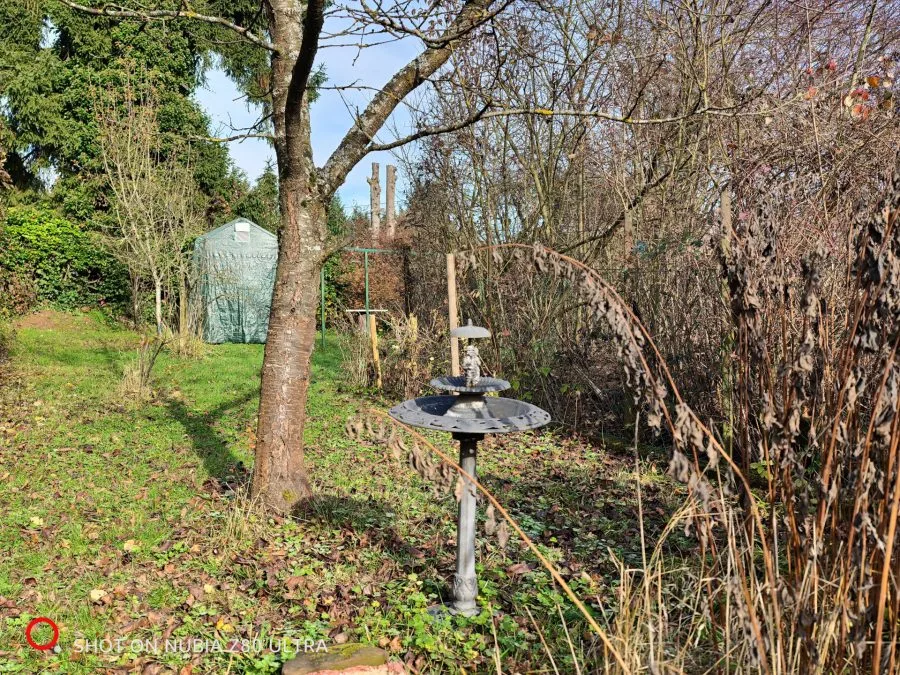 Camera test recording forest