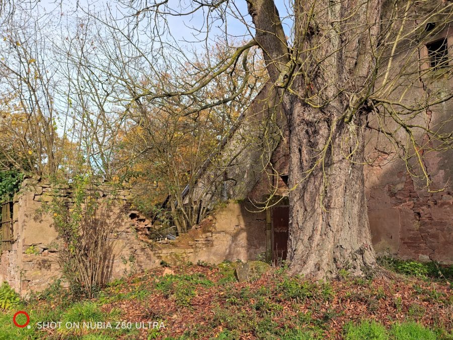 Kamera Testaufnahme Ruinen