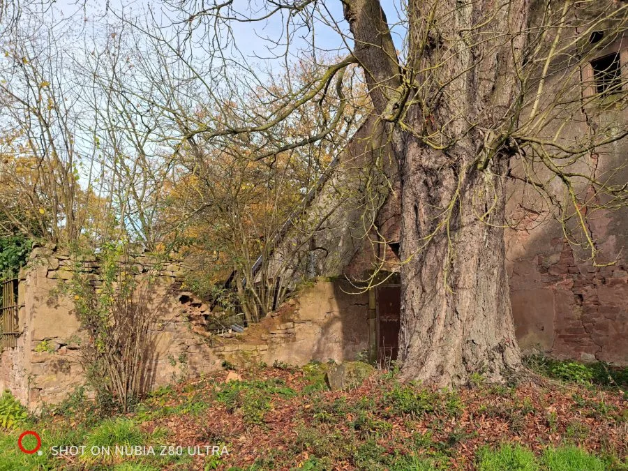 Camera test shot of ruins