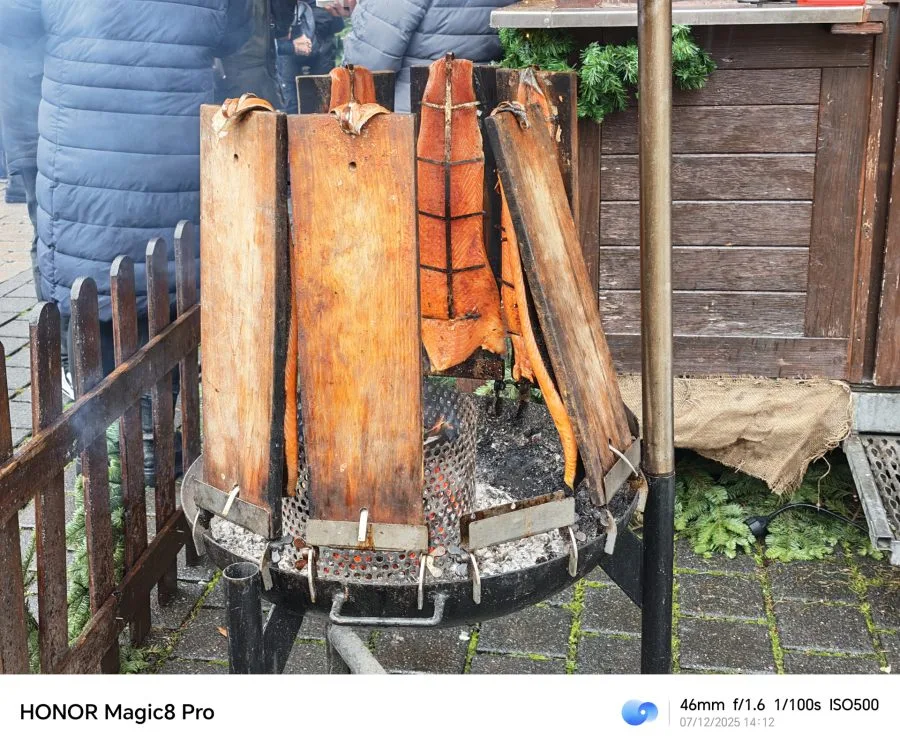 Δοκιμαστική λήψη HONOR Magic 8 Pro, κύρια κάμερα, ημέρας, σομόν 46 mm