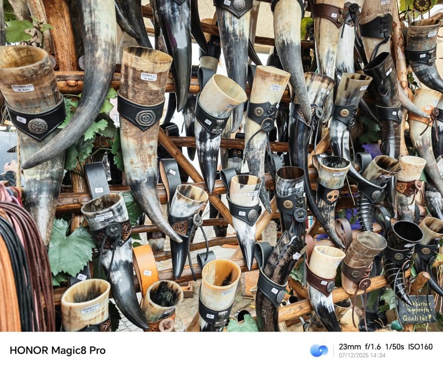 HONOR Magic 8 Pro Testaufnahme Hauptkamera Tag Trinkhorn