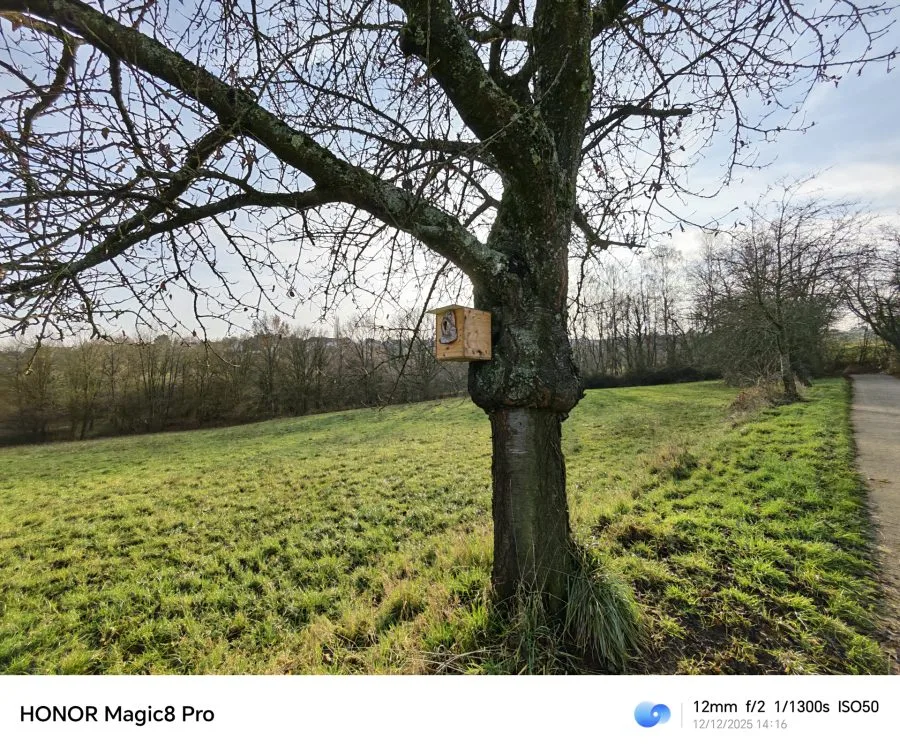 Δοκιμαστική λήψη HONOR Magic 8 Pro, κάμερα εξαιρετικά ευρείας γωνίας, καλό φως