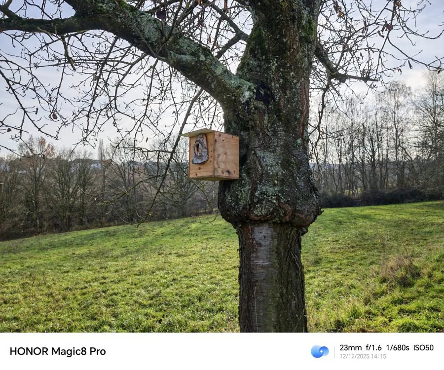 Δοκιμαστική λήψη HONOR Magic 8 Pro, κύρια κάμερα, καλό φως