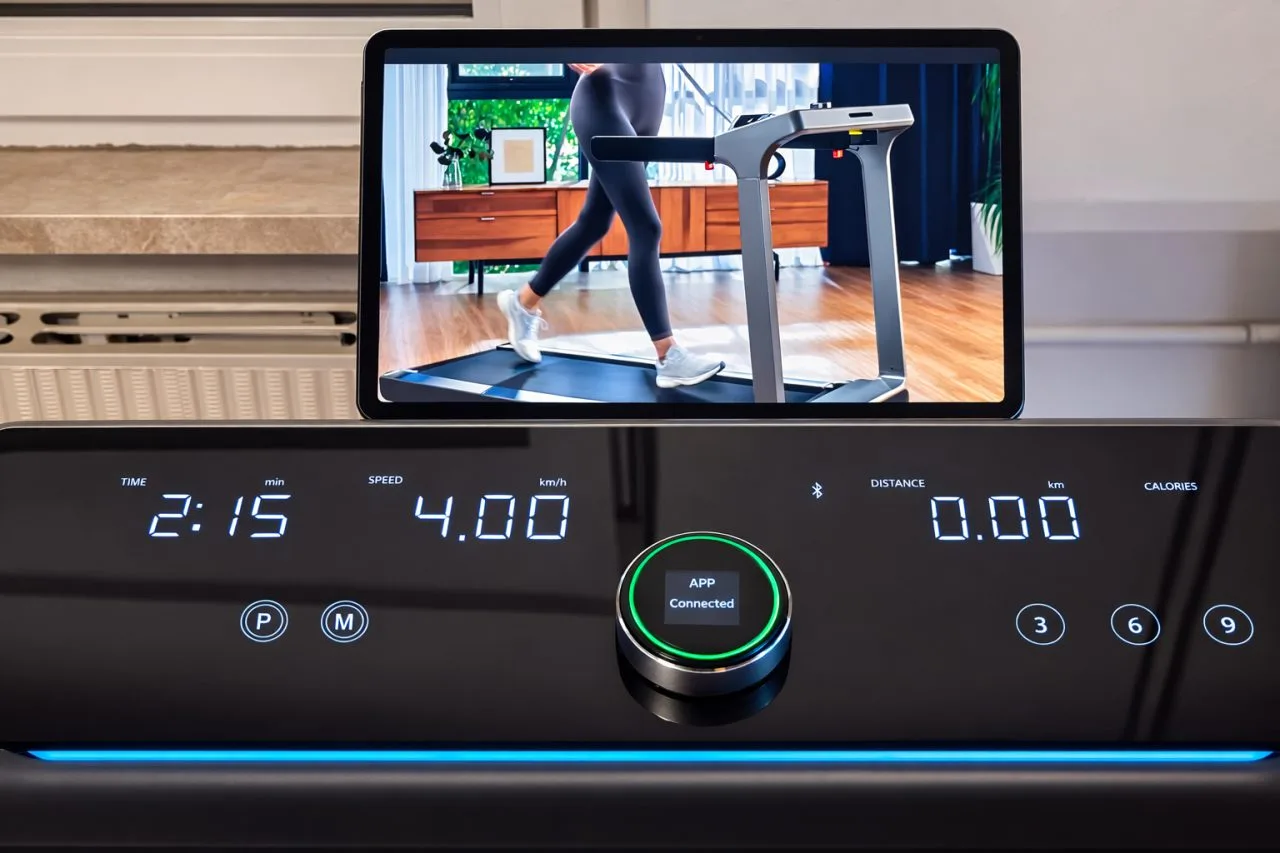 Przechowywanie WalkingPad X218