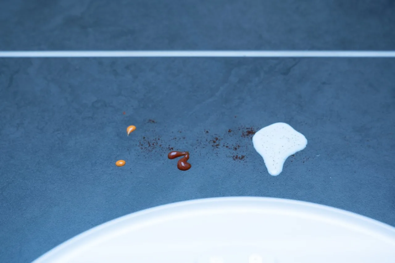 Roborock Qrevo Curv 2 Flow Test met vloeistoffen