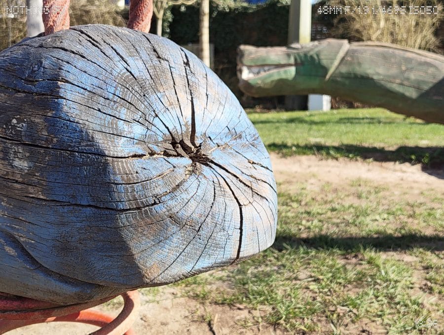 Phone (4a) Hauptkamera Holz