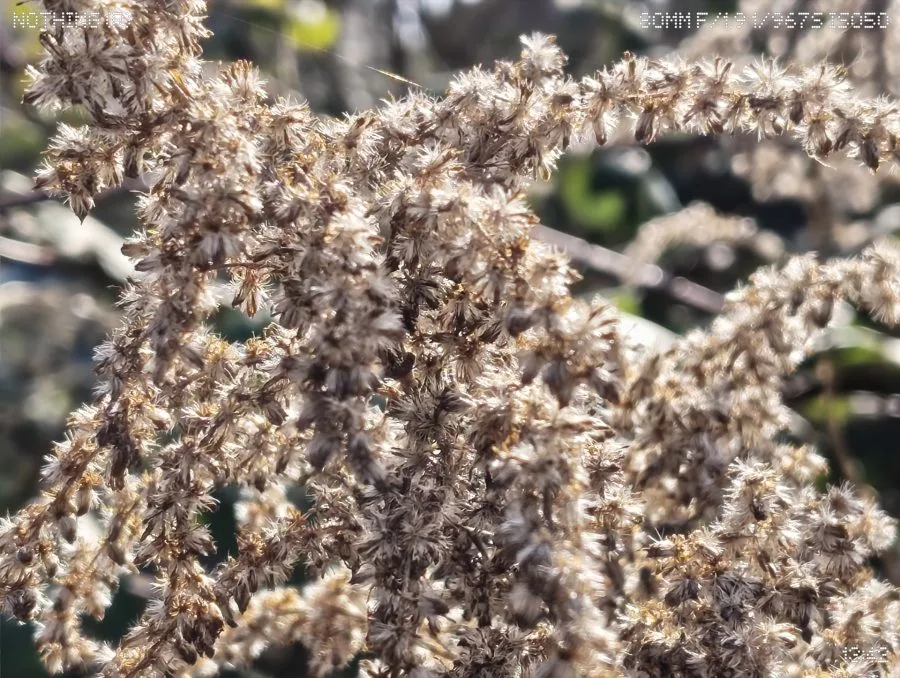 Telefon (4a) Periskop kamera tesisi