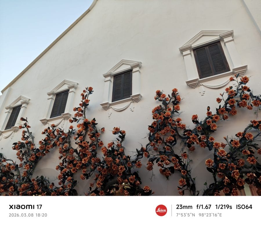 Xiaomi 17 Hauptkamera Testaufnahme Pflanzen an Wand
