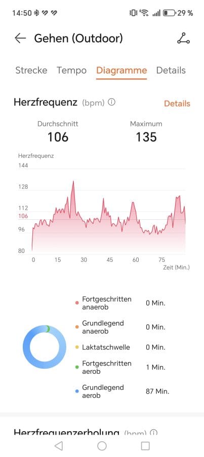 HUAWEI Runner GT 2 App (2)