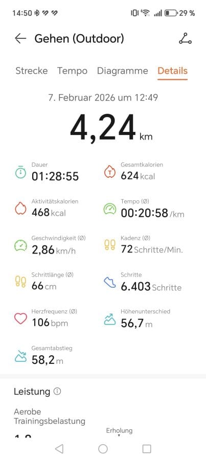 HUAWEI Runner GT 2 App (3)