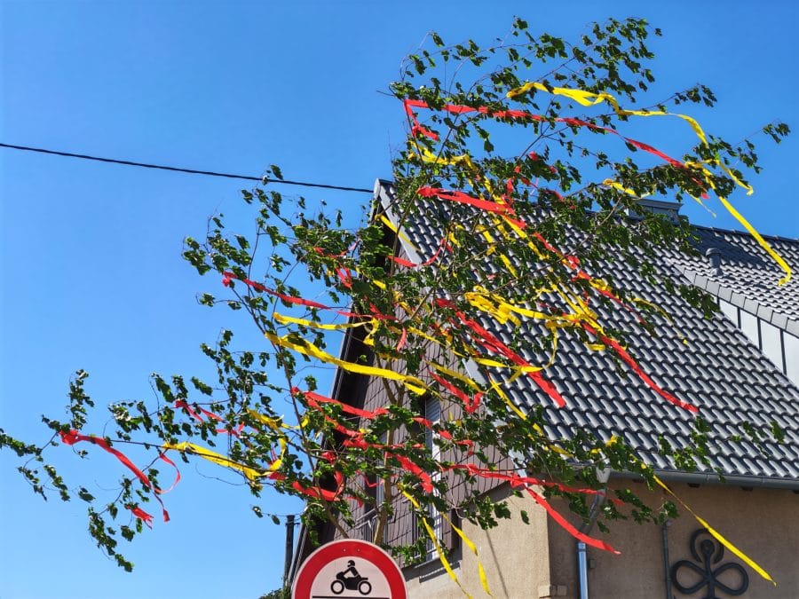HONOR 600 Testaufnahme Maibaum
