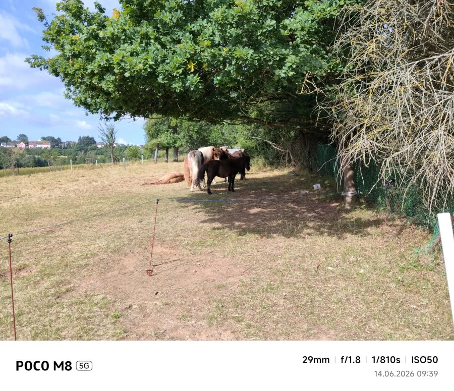 POCO M8 5G 1x zoom