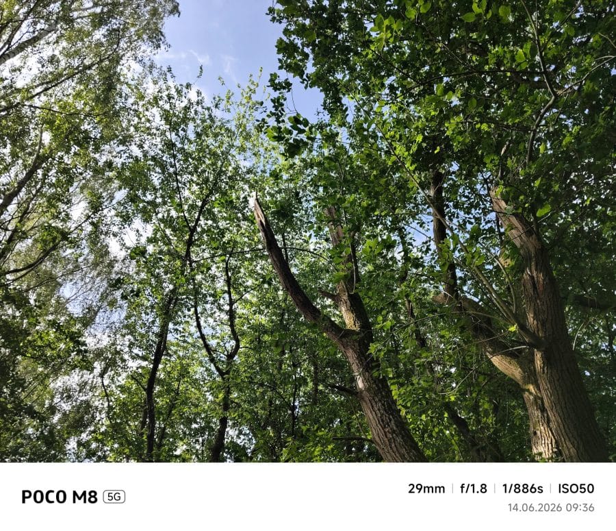 POCO M8 5G Hauptkamera Testaufnahme Wald