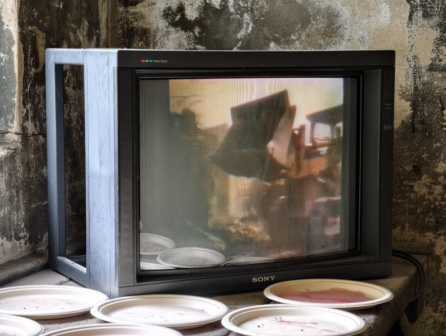 vivo X300 Ultra Telekamera Aufnahme Fernseher