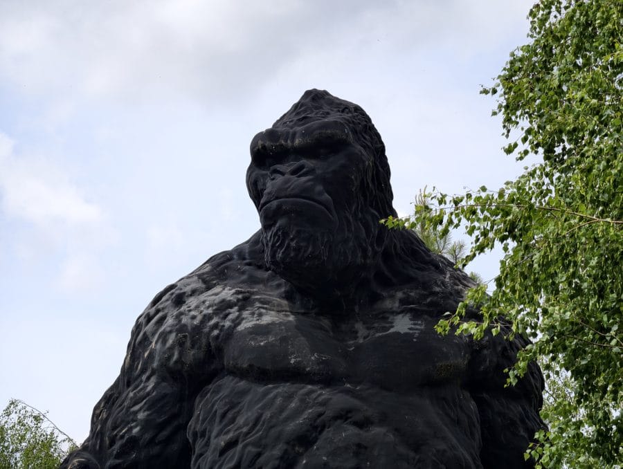 vivo X300 Ultra Telekamera Aufnahme Gorilla