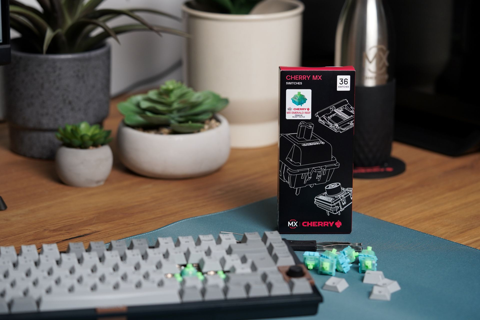 MX EMERALD REEF